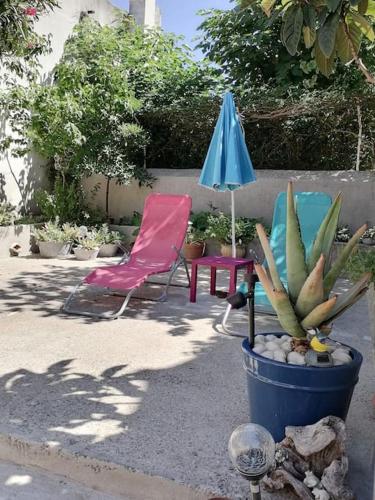 - une terrasse avec 2 chaises, un parasol et un cactus dans l'établissement LA CHAMADE maison de village climatisée, à Lapalud