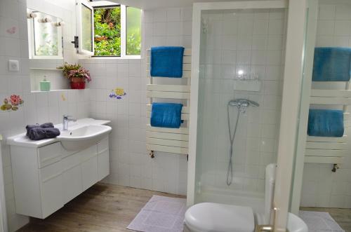 a bathroom with a shower and a sink and a toilet at Le Jardin Paris in Ivry-sur-Seine