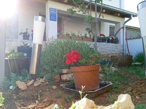 a garden with flowers and plants in front of a house at Apartman Josipa in Peroj