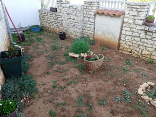 a garden with a basket of plants and a wall at Apartman Josipa in Peroj