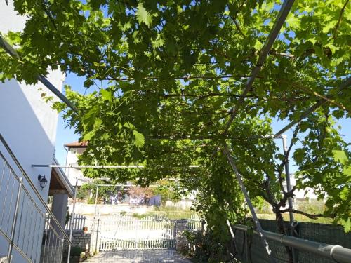 a tree with green leaves next to a fence at Apartman Josipa in Peroj