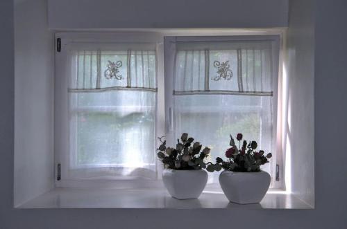 two white vases sitting on a window sill with flowers at Apartment in ruhiger Wohnlage Sie sind in 3 Minuten am Trebbower See oder in 30 Minuten an der Ostsee in Klein Trebbow