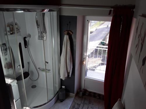 La salle de bains est pourvue d'une douche et d'une fenêtre. dans l'établissement Le petit nid, à Saint-Bonnet-près-Orcival