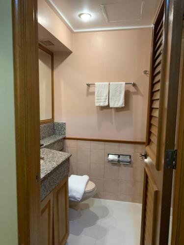 a bathroom with a toilet and a sink and a mirror at The Manor Hotel Baguio Private Unit Superior Room with Garden View in Baguio