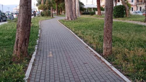 a brick path between two trees in a park at CASA THEOTOKI in Anemómylos