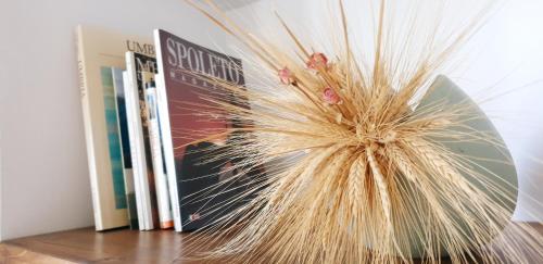 a bunch of books on a shelf with a flower vase at La Casa sul Colle in Spoleto