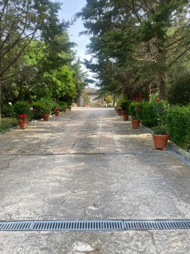 Trasimeno 2 – Photos 2