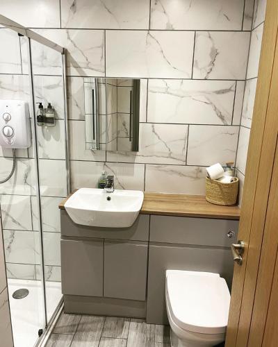 a bathroom with a sink and a toilet and a shower at Luxury Sea View Apartment - One Bedroom in Aberystwyth