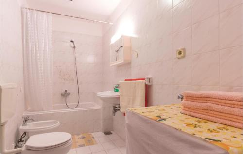 a bathroom with a toilet and a sink and a shower at Lovely Apartment In Fazana With Kitchen in Fažana
