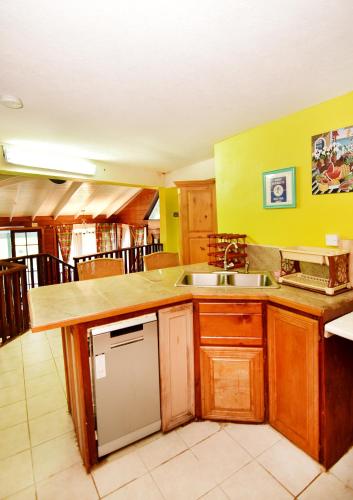 a kitchen with a sink and a counter top at Beachfront Cottage in Gros Islet