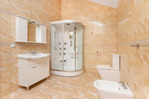 a bathroom with a shower and a sink and a toilet at Villa Forest in Kotor