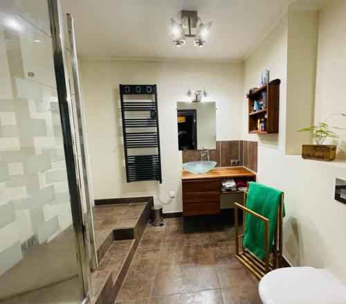 une salle de bain avec une douche, un lavabo et des toilettes dans l'établissement Appt avec jardin et clim proche Arènes de Cimiez, à Nice