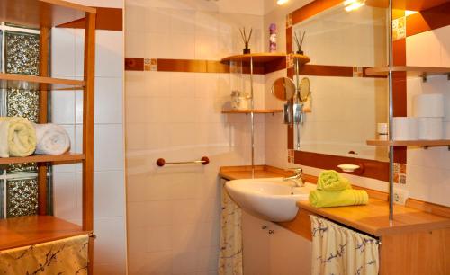 uma casa de banho com um lavatório e um espelho em Apartment in the heart of Brda wine region, Boris and Darinka Marinič em Dobrovo