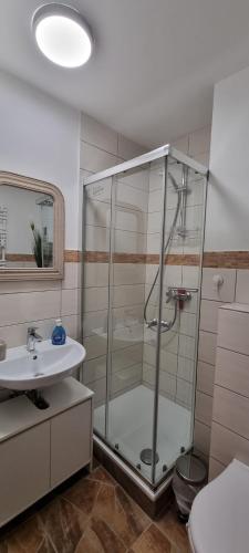 a bathroom with a shower and a sink at FeWo Wanderlust in Altenau