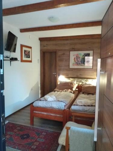 a bedroom with two twin beds and a tv at Restaurant and Apartments - T'ga za Jug Lazaropole in Lazaropole