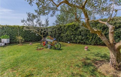 a bike parked in the grass next to a hedge at Cozy Apartment In Fazana With Wifi in Fažana