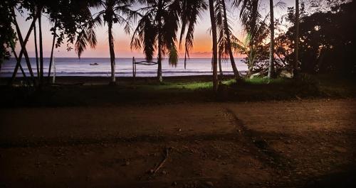 a view of a beach with palm trees and the ocean at Perla Negra Beachfront in Puerto Viejo
