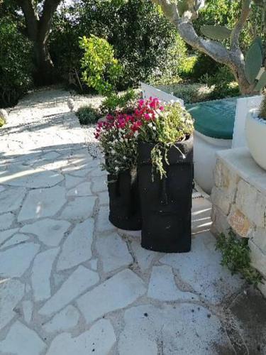 two potted plants sitting on a stone walkway at Oasi di Campagna in Modica