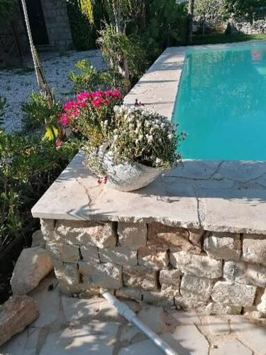 a pot of flowers sitting next to a swimming pool at Oasi di Campagna in Modica