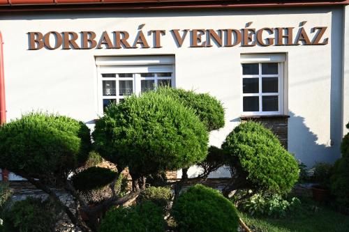 Κήπος έξω από το Borbarát Vendégház