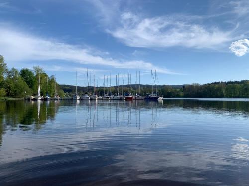 a large body of water with boats in it at Wellness & Spa Apartments Lipno - Frymburk in Frymburk
