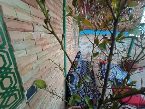 a plant next to a brick wall with a plant at Riad Fes Touria Palace in Fès
