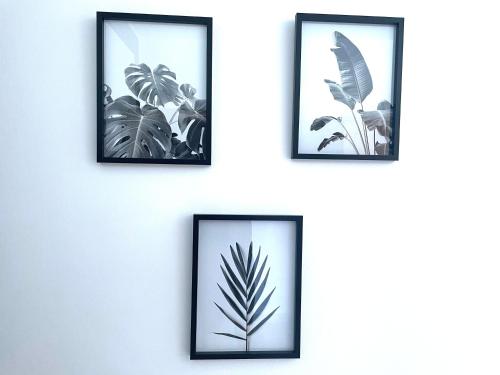 four framed pictures of plants on a wall at Gaia Residence Deluxe in San Felipe de Puerto Plata