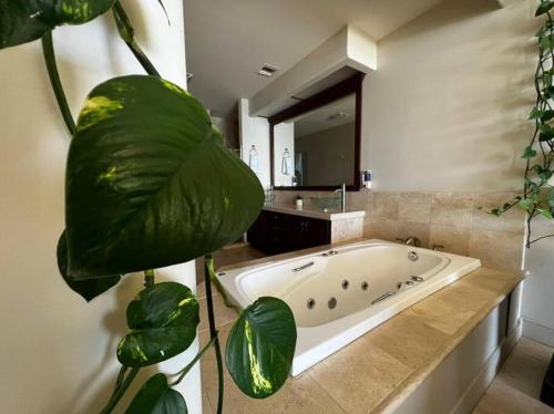 a bathroom with a large green plant next to a tub at ACCESS - BEACH Penthouse PAPAS and BEER 2 miles WIFI in Rosarito