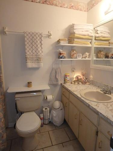 a bathroom with a toilet and a sink at Poolside Paradise in Navarre