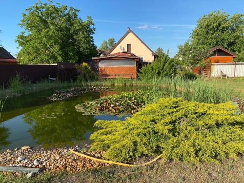 a pond with plants and a house in the background at Csengődi Csecske Panzió in Csengőd