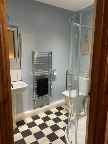 a bathroom with a shower and a sink and a toilet at Masons Nook 292 Mansfield Road NG174HR in Skegby