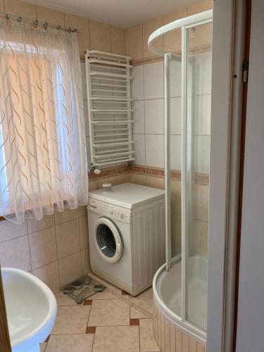 lavatrice in bagno con doccia di DOM OSTRÓDA-CISZA I SPOKÓJ a Ostróda