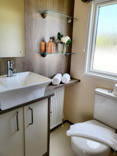 a bathroom with a sink and a toilet and a window at Luxury Seaside Retreat Holiday Home - Shorefield Country Park in Downton