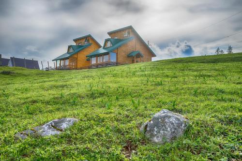 een huis op een heuvel in een veld bij Mountain House AMI in Žabljak