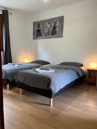 two beds in a room with two at Appartement rez de jardin, 2 chambres/ 4 personnes, garage. in Briançon