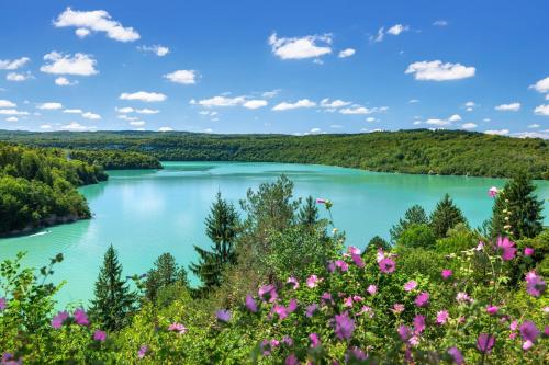 a view of a lake with flowers in the foreground at LE GITE DU LYNX in Cernon