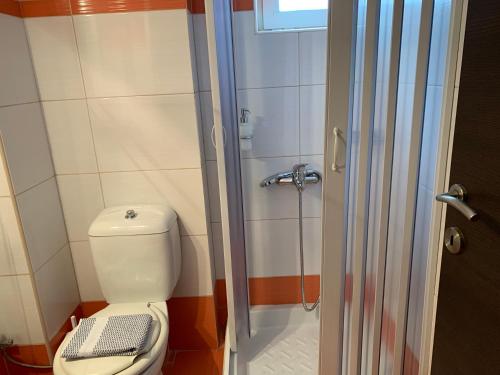 a small bathroom with a toilet and a shower at Christi Apartments Α&Β in Kokkíni Khánion