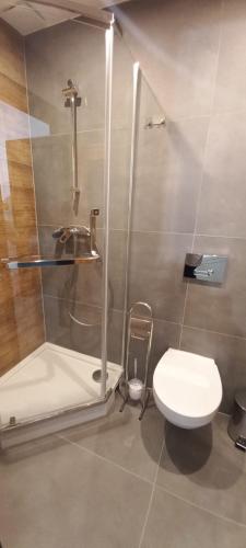 a bathroom with a shower and a white toilet at Pogodny Domek in Zarzecze