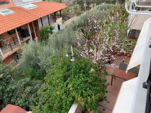 an overhead view of a garden with flowers and bushes at Christi Apartments Α&Β in Kokkíni Khánion