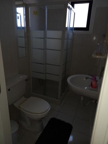 La salle de bains est pourvue de toilettes, d'une douche et d'un lavabo. dans l'établissement Old Town apartment 2, à Larnaka