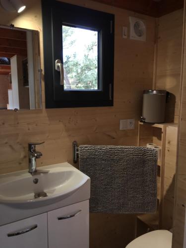uma casa de banho com um lavatório, um WC e uma janela. em TINY HOUSE LA FARIGOULE em Pélissanne