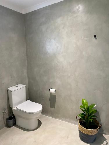 a bathroom with a white toilet and a plant at Rosetta Fields Country Lodge in Rosetta
