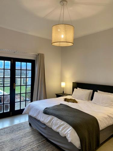 a bedroom with a large bed and a large window at Rosetta Fields Country Lodge in Rosetta