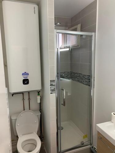 La salle de bains est pourvue d'une douche et de toilettes. dans l'établissement Le cosy, à Courseulles-sur-Mer