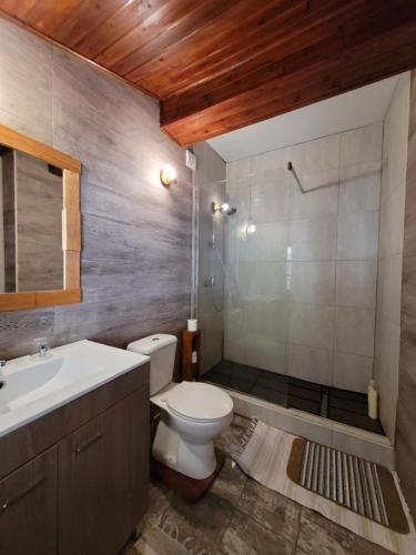 een badkamer met een toilet, een wastafel en een douche bij The Handmade House Azores in Porto Formoso