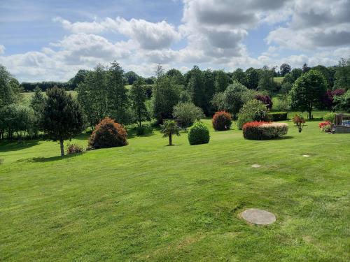 a large green field with bushes and trees at La Gasteboisiere with swimming pool and games room in Le Mesnil-Adelée