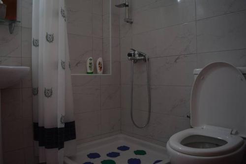 a bathroom with a shower and a toilet at Olive apartment in Adelianos Kampos
