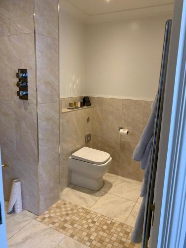a bathroom with a toilet and a shower at The Old Mill in Lymington