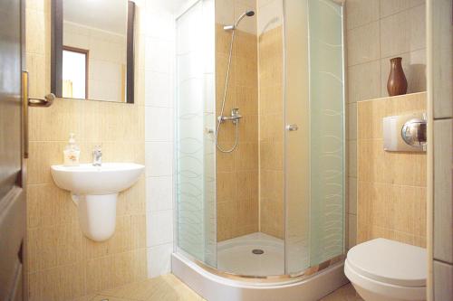 ein Bad mit einer Dusche, einem WC und einem Waschbecken in der Unterkunft Casa Lia in Sighişoara