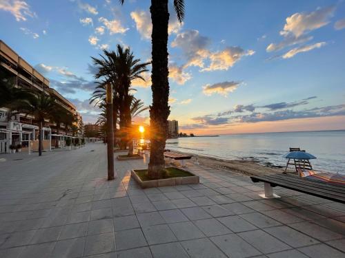 Apartament Nicoletta 1 Costa Blanca Torrevieja